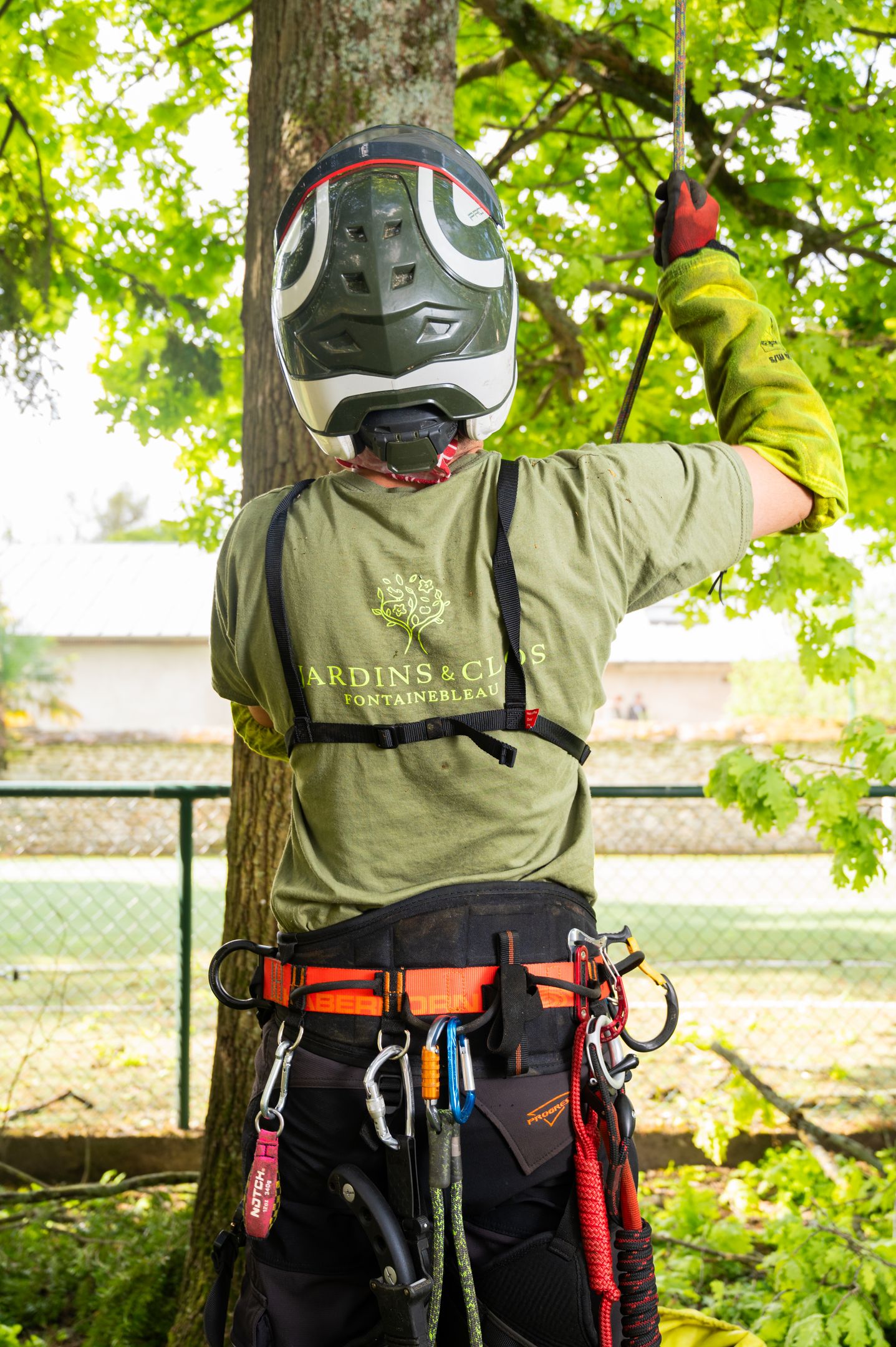 Nos arboristes au service de vos arbres